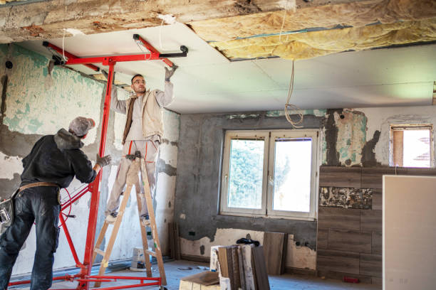Best Attic Insulation Installation  in Pendleton, IN